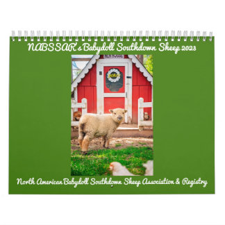 Calendário Babydoll Southdown Sheep 2023 NABSSAR Calendar