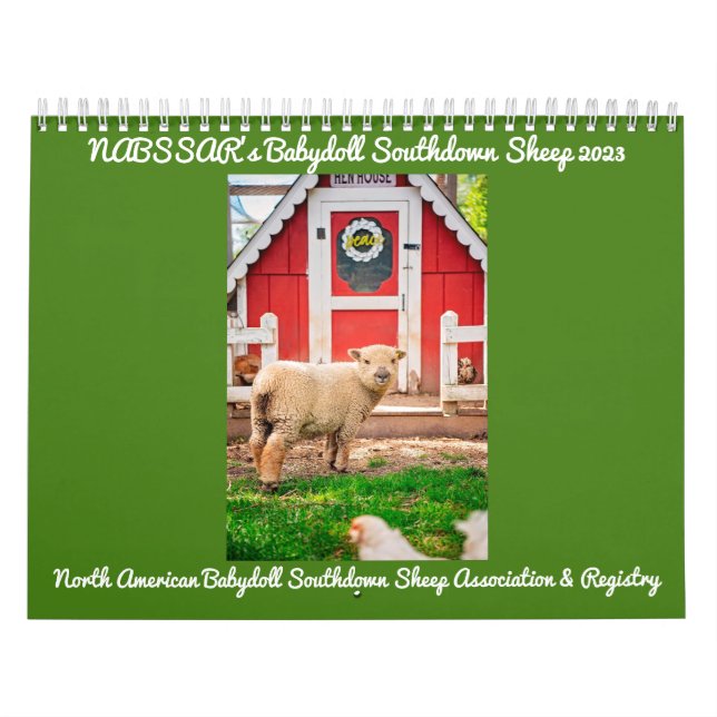 Calendário Babydoll Southdown Sheep 2023 NABSSAR Calendar (Capa)