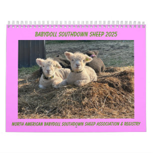 Calendário Babydoll Southdown Sheep 2025
