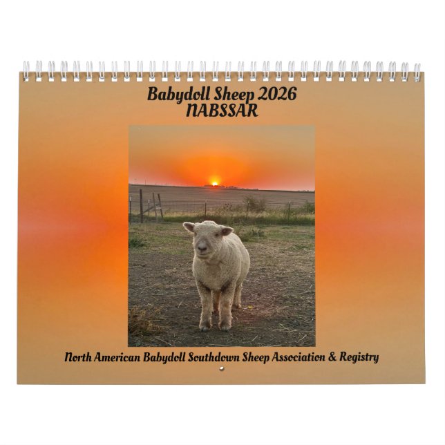 Calendário Babydoll Southdown Sheep 2026 NABSSAR Calendar (Capa)