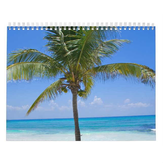 Calendário Bahamas Palm Tree (Capa)