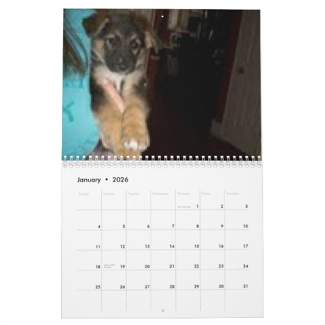 Calendário Baja/Hercules (Jan 2026)