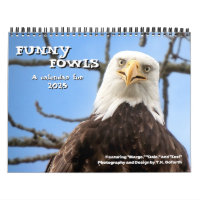 Bald Eagle Funny Fowls Bird Fotografia 2025