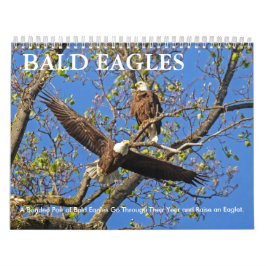 CALENDÁRIO BALD EAGLE LIFE