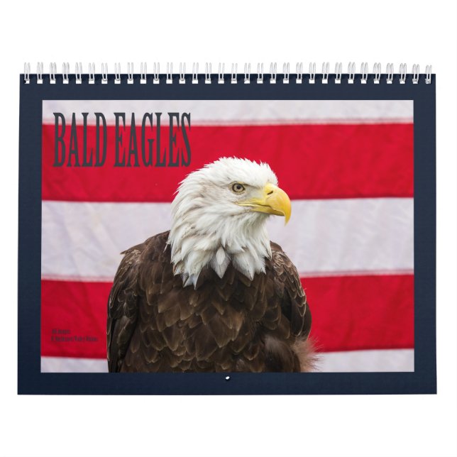 Calendário Bald Eagles (Capa)