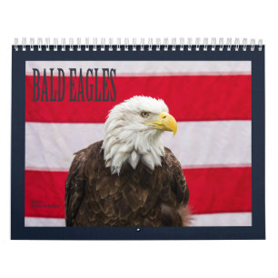 Calendário Bald Eagles