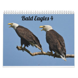 Calendário Bald Eagles $