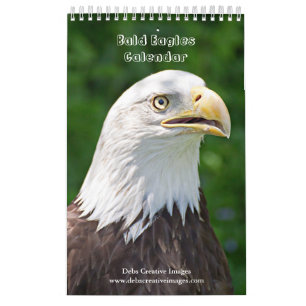 Calendário Bald Eagles 2025