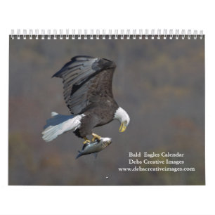 Calendário Bald Eagles 2025