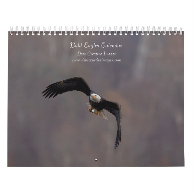 Calendário Bald Eagles 2026 (Capa)