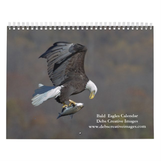 Calendário Bald Eagles 2026 (Capa)