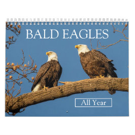 Calendário BALD EAGLES - Todo o ano