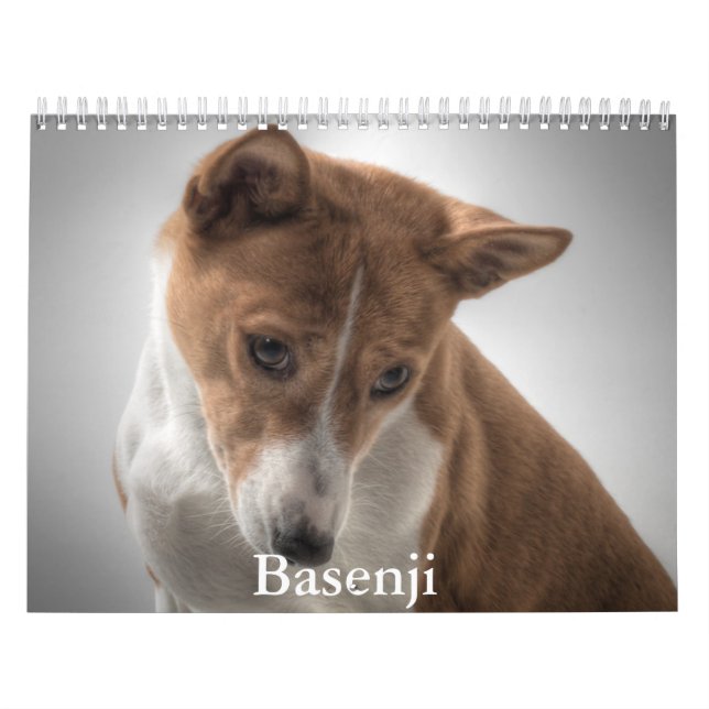 Calendário Basenji (Capa)