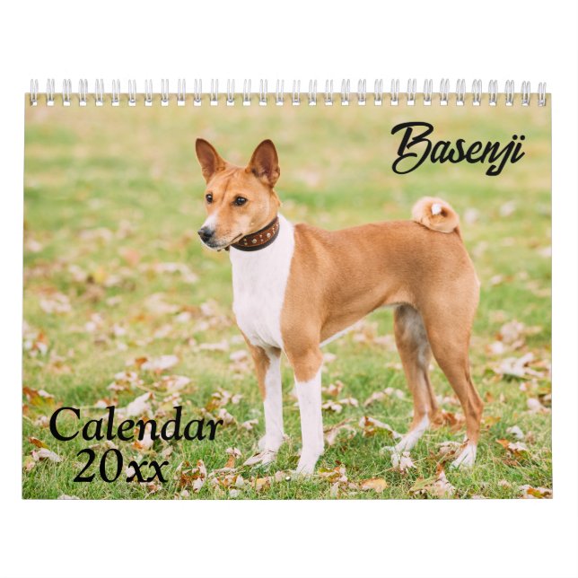 Calendário Basenji 2026 (Capa)