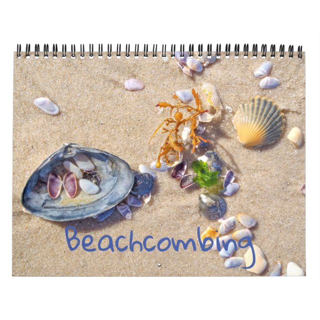 Calendário Beachcombing (Capa)