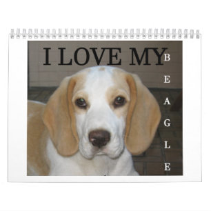Calendário Beagle Calender