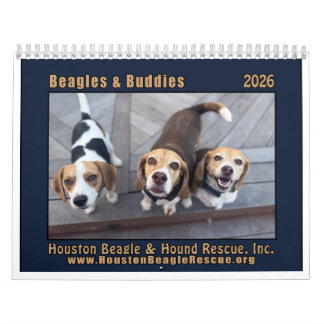 Calendário Beagles e Amigos 2026