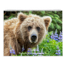 BEARS - Fotografia Belinda Greb