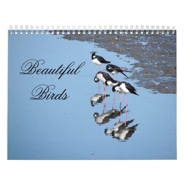 Calendário Beautiful Birds Calendar (Capa)