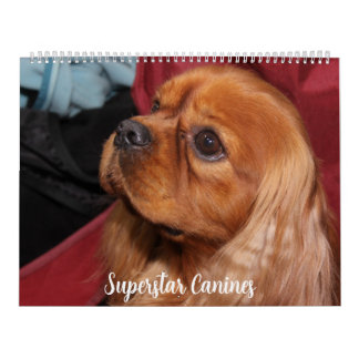 CALENDÁRIO BEAUTIFUL SUPERSTAR CANINE DOGS
