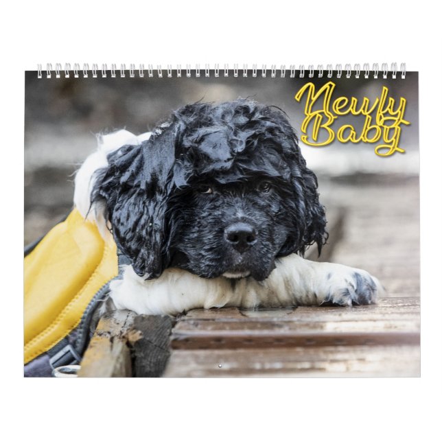 Calendário Bebê Newfy (Capa)