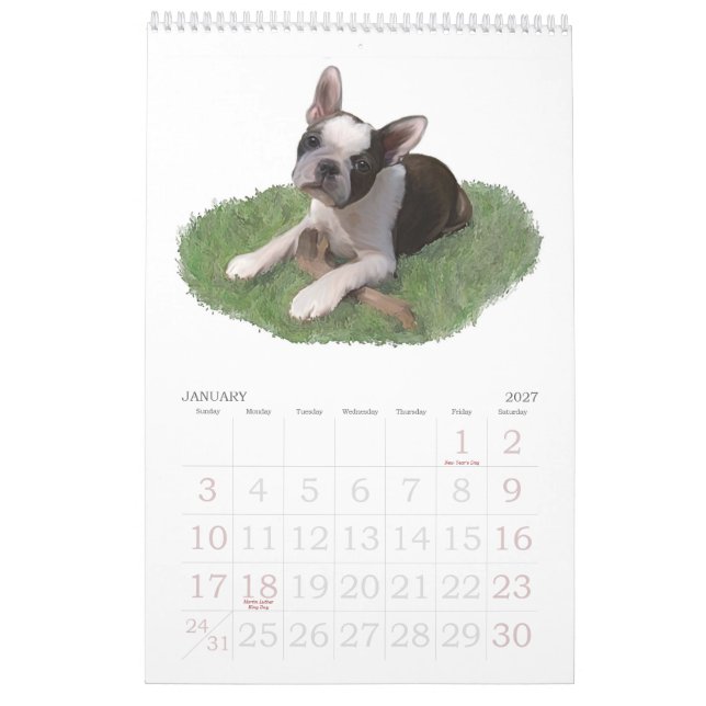 Calendário Bebês de Boston Terrier (Jan 2027)