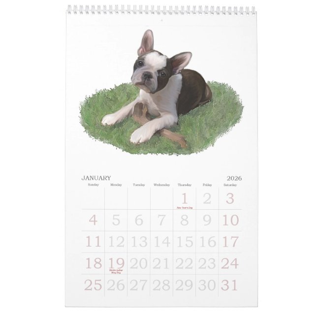Calendário Bebês de Boston Terrier (Jan 2026)