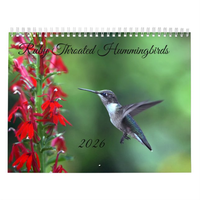 Calendário Beija-flor-de-pescoço-vermelho 2026 (Capa)