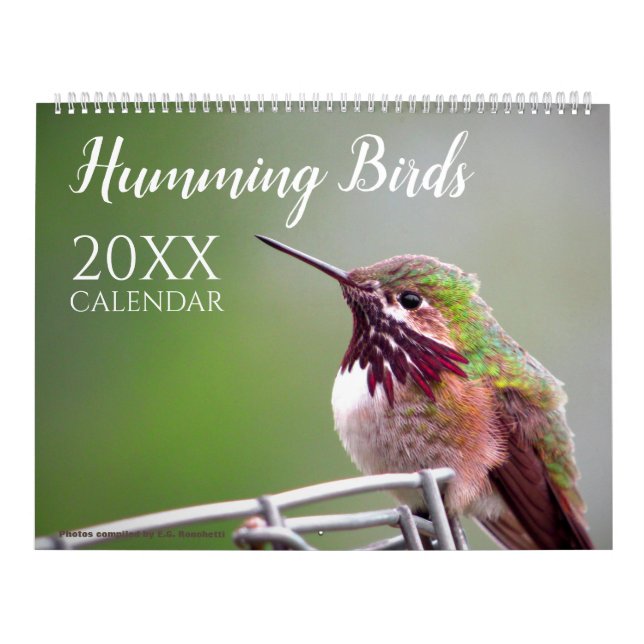 Calendário Beija-flor Pássaro Natureza Parede Vida Selvagem (Capa)