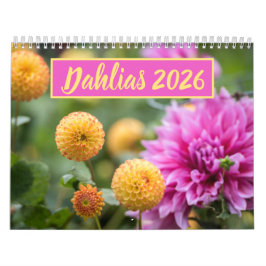 Calendário Bela Fotografia Floral Dahlias
