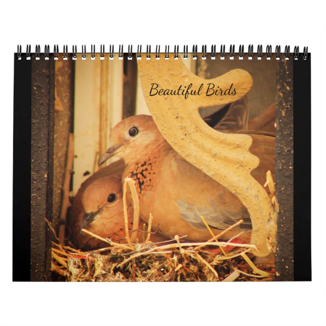 Calendário Belas Aves (Capa)