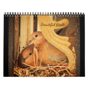 Calendário Belas Aves
