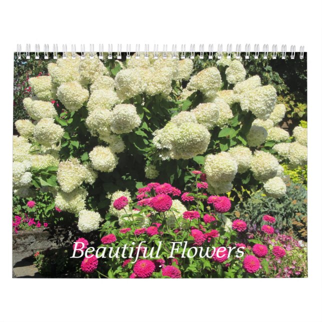 Calendário Belas Flores (Capa)