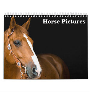 Calendário Belas Imagens de Cavalos 2027
