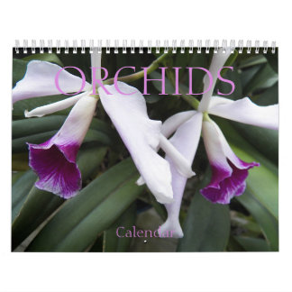 Calendário Belas Orquídeas Fotográficas
