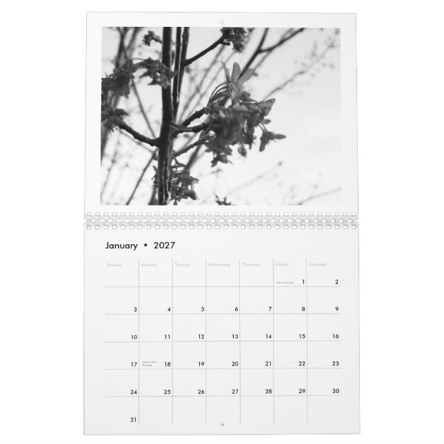 Calendário Beleza da natureza… a edição preta & branca (Jan 2027)