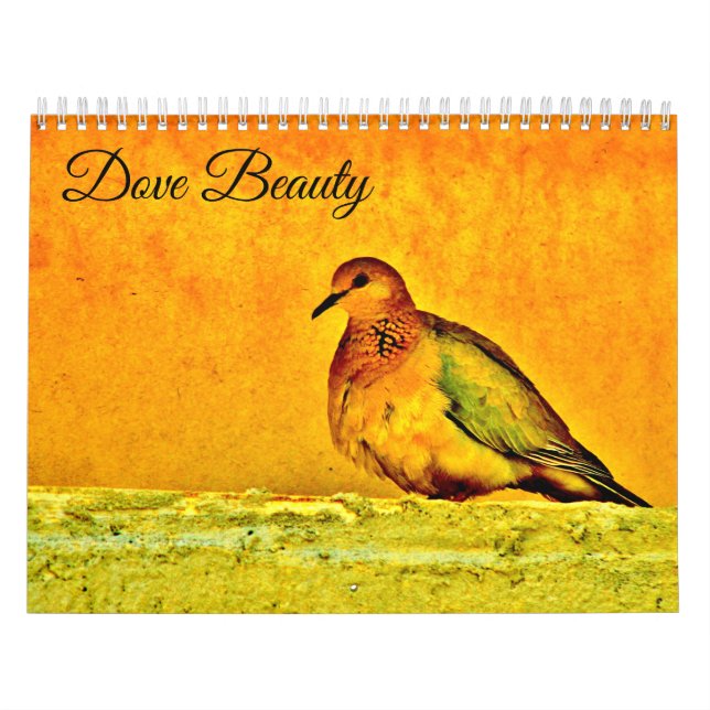 Calendário Beleza da pomba (Capa)