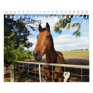 Calendário Beleza dos Cavalos,