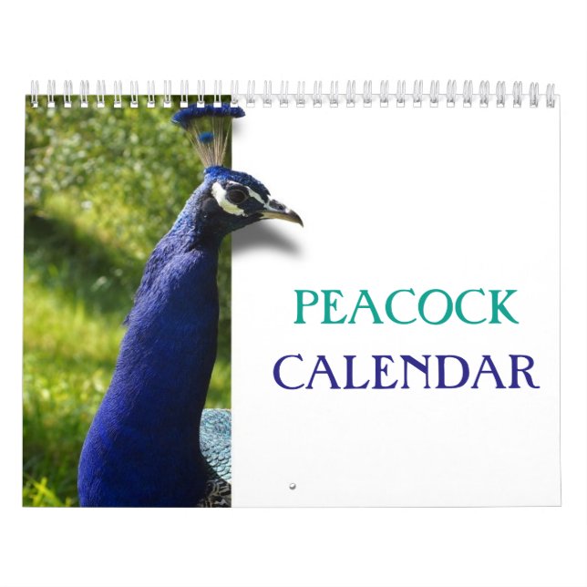 Calendário Belíssimo Pavão 2027 (Capa)
