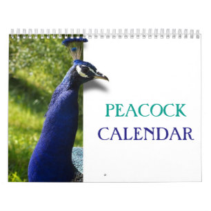 Calendário Belíssimo Pavão 2027