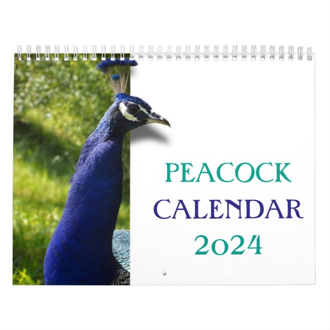 Calendário Belo Pavão 2024 (Capa)