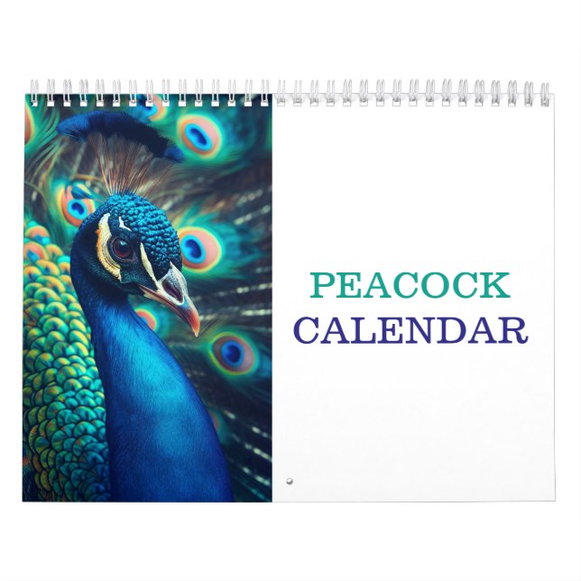 Calendário Belo Pavão 2025 (Capa)