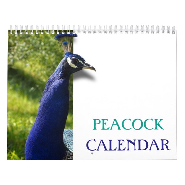 Calendário Belo Pavão 2025 (Capa)