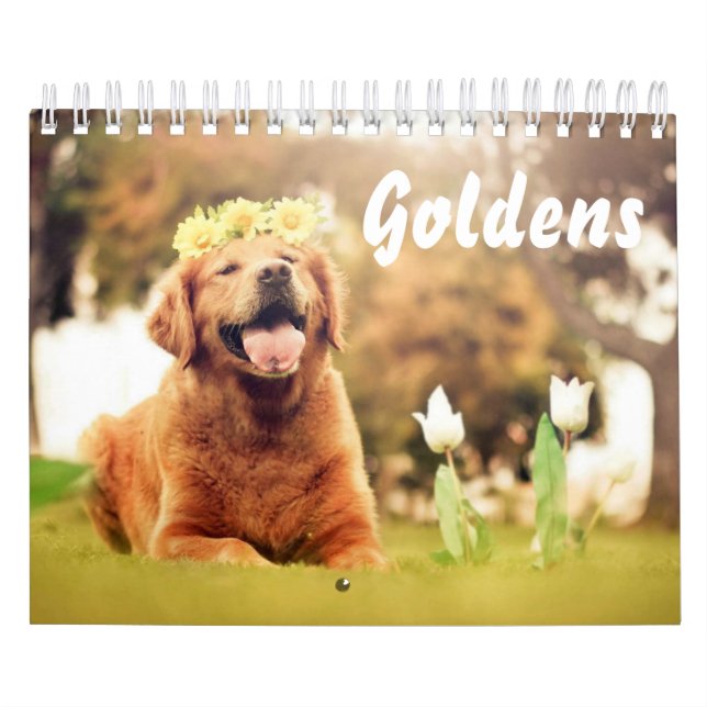 Calendário Belos Ouros (Capa)