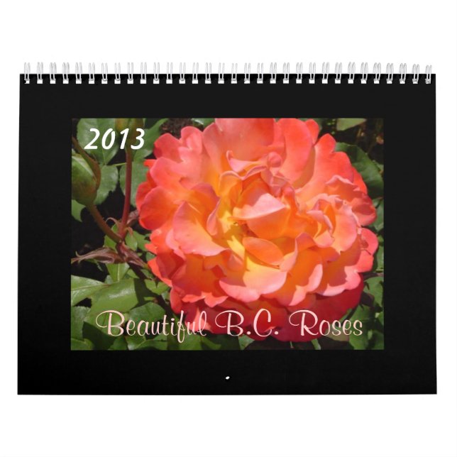 Calendário Belos Rosas de 2013 (Capa)