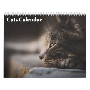 Calendário Bengal Cats 2025