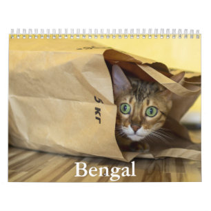 Calendário Bengala