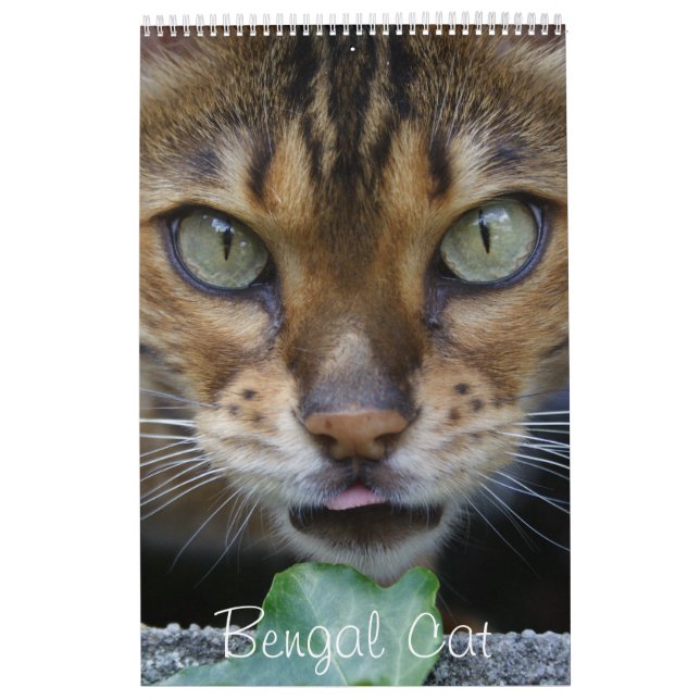 Calendário Bengala Bonita Cats 2025 (Capa)
