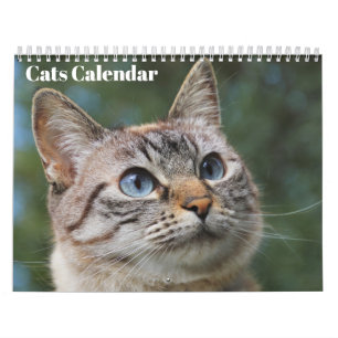 Calendário Bengala Cats 2022