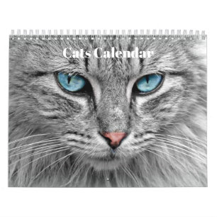Calendário Bengala Cats 2022